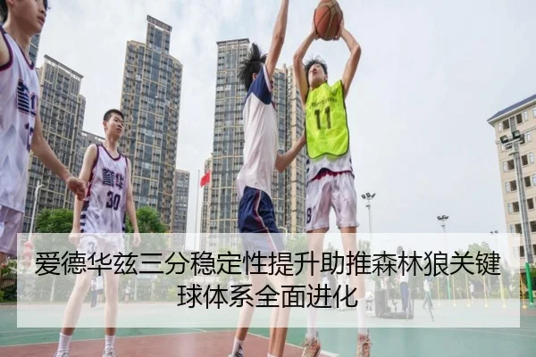爱德华兹三分稳定性提升助推森林狼关键球体系全面进化